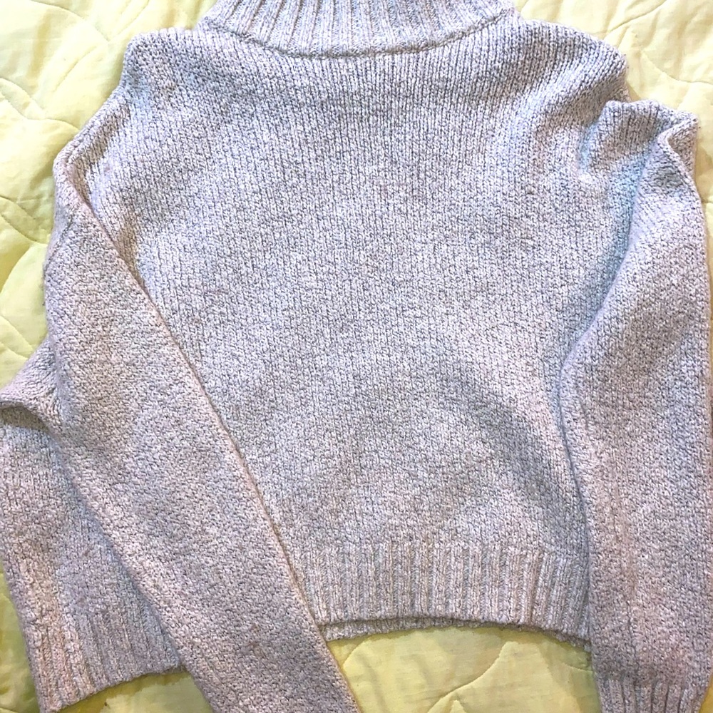 American Eagle Turtle Neck Neck Crop Sweater